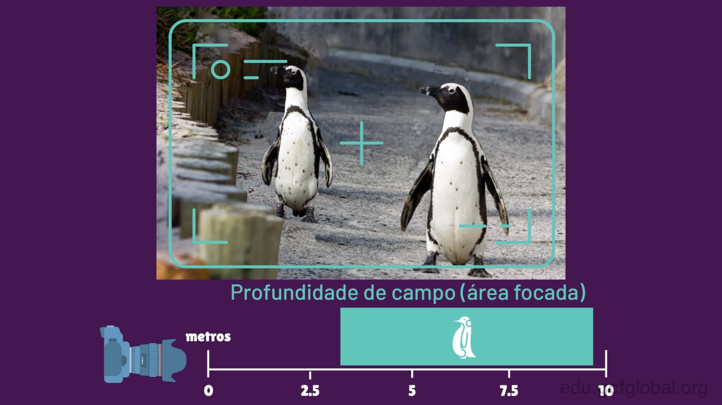 Quanto maior distância entre o objeto e a camera, maior a profundidade de campo.